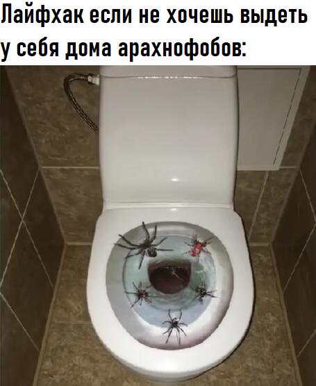 Мем от 1234 tmd