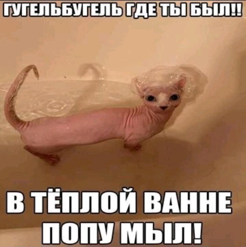 гугельбугель,где ты был?