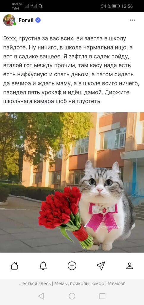 Спасибо за школьного камару, передаю его дальше