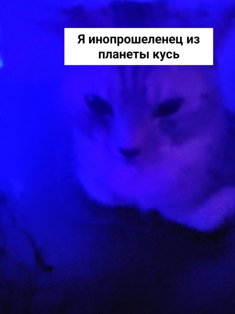 Инопланетянин