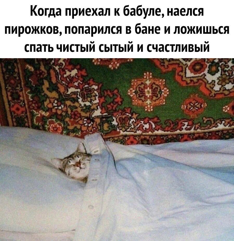 Жиза)