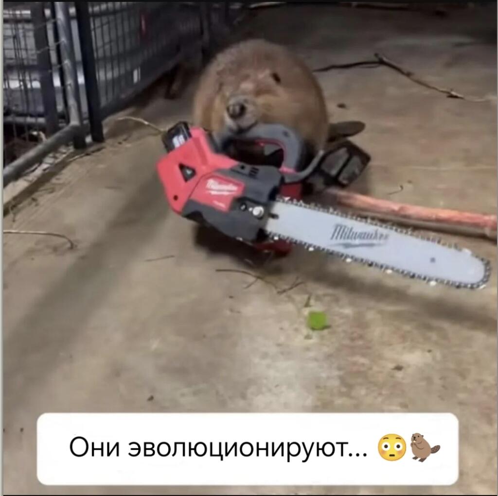 Жертва стала хищником...
