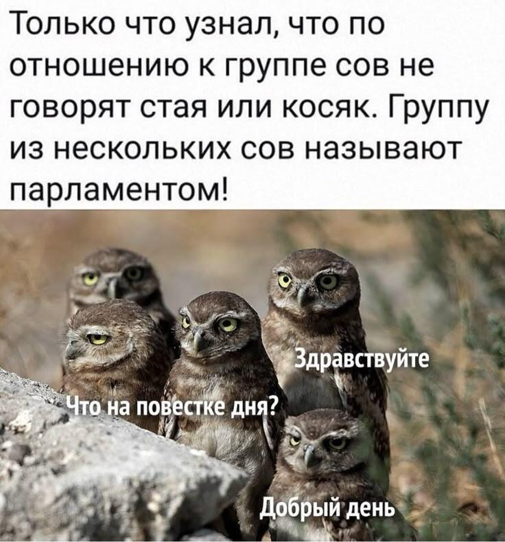 Мем от 🌸💥|цвяточный ад {ПЛМ}