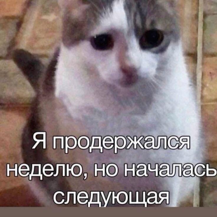 Мем от Сметана CHUP