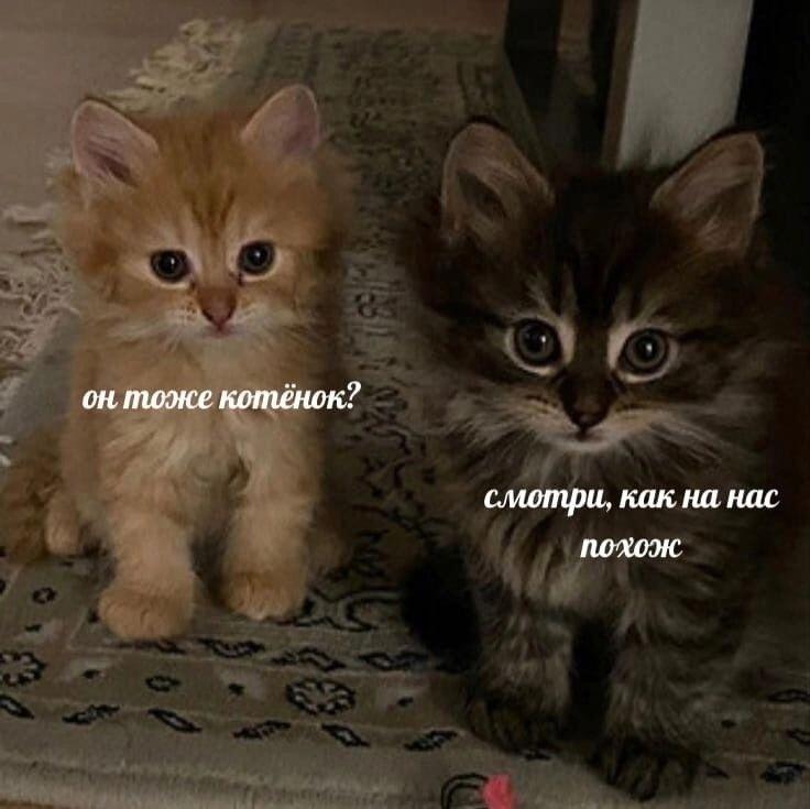 Мем от Карл Ик