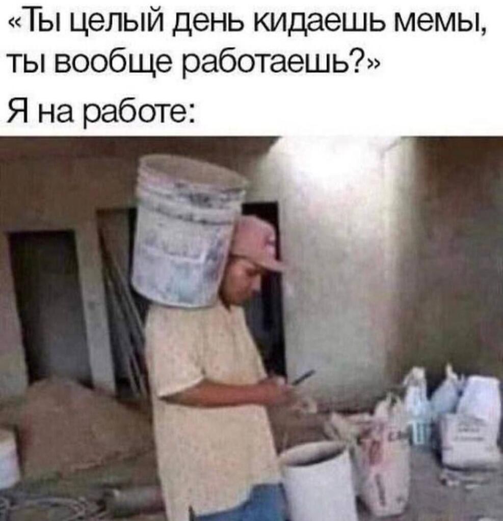 Сова заметь прошу