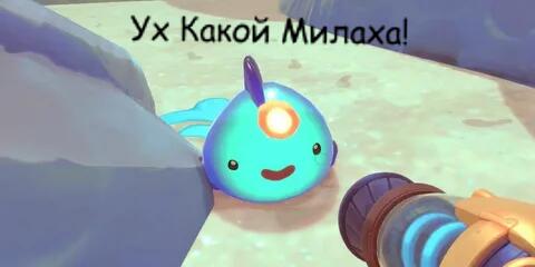 Когда нашел Новый вид Слайма...