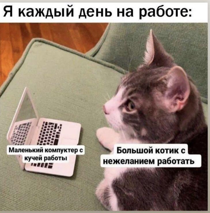 Мем без подписи