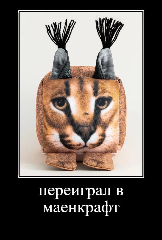 флопа)))