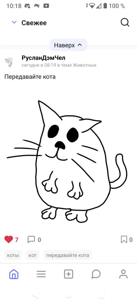 Передаю кота
