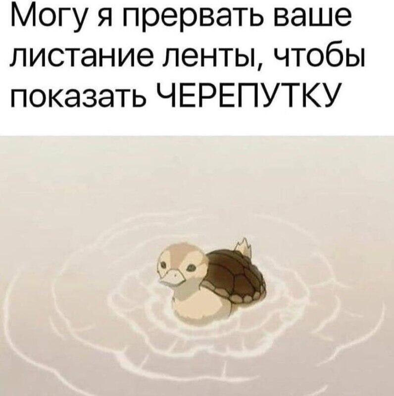 Мем от Mishutkaᐖ [ПЛМ]