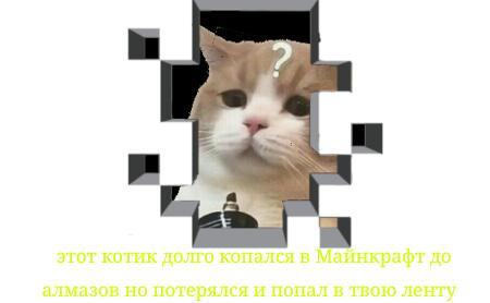 Мем от 𓆝 𓆟 𓆞 𓆝 𓆟