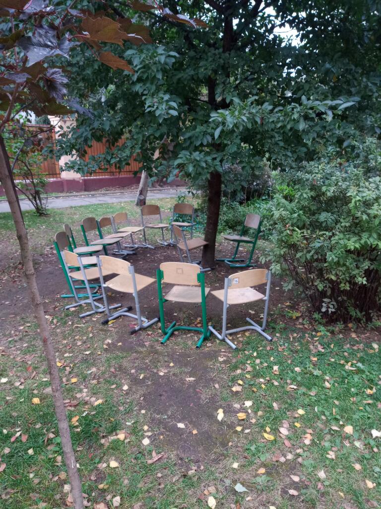 12 стульев
На фото 13