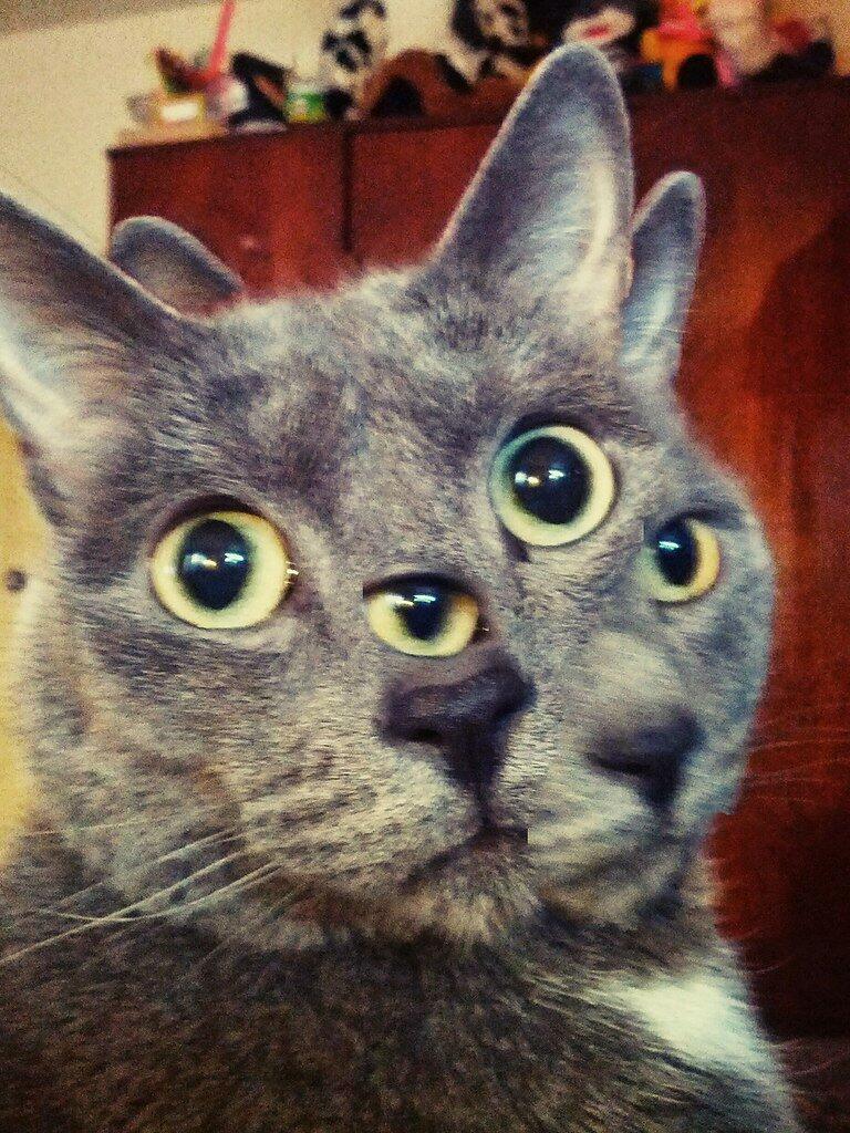 пов: я на уроке