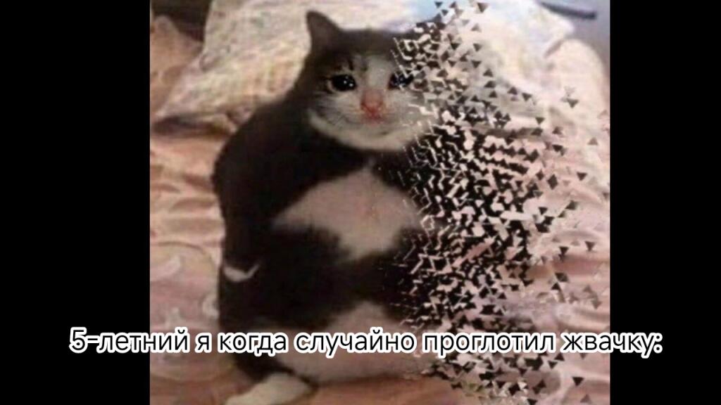 Жиза