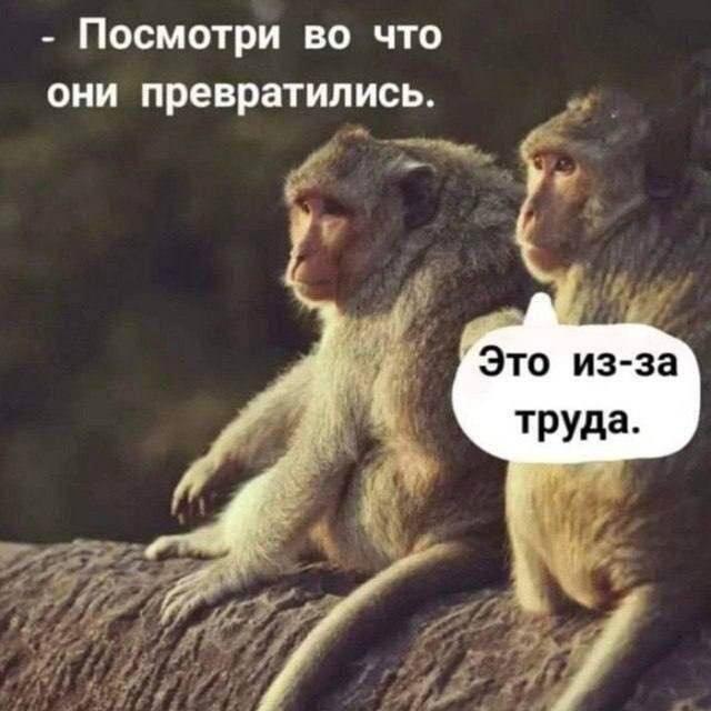 Мем от ГУП "НМТ"