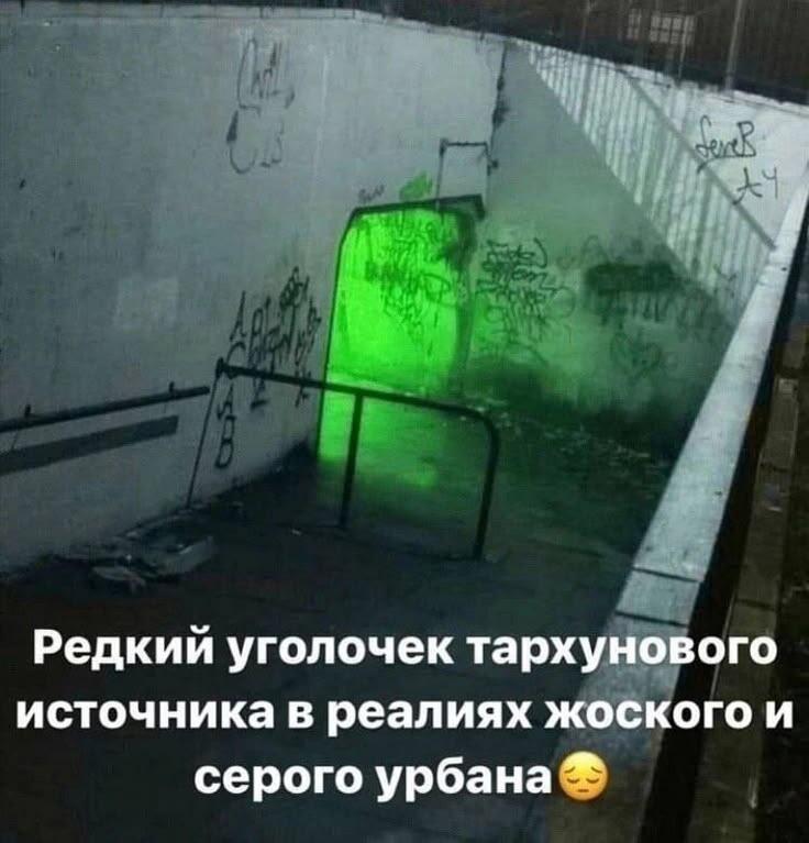 Наконец-то тархунец