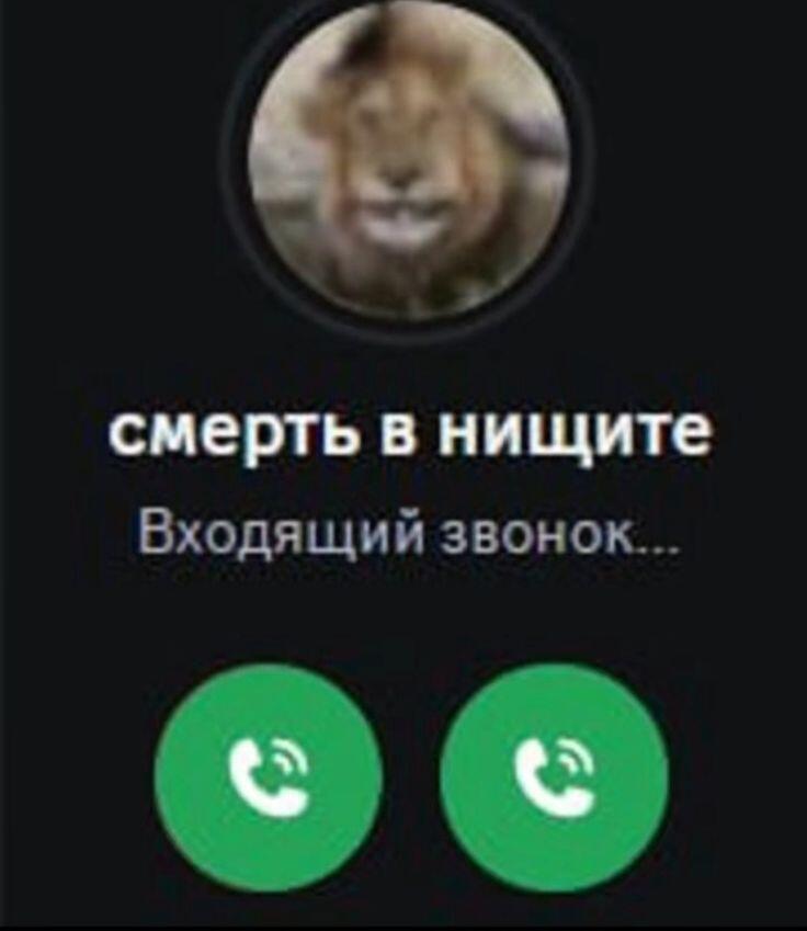Мем от xnj z pf xvj