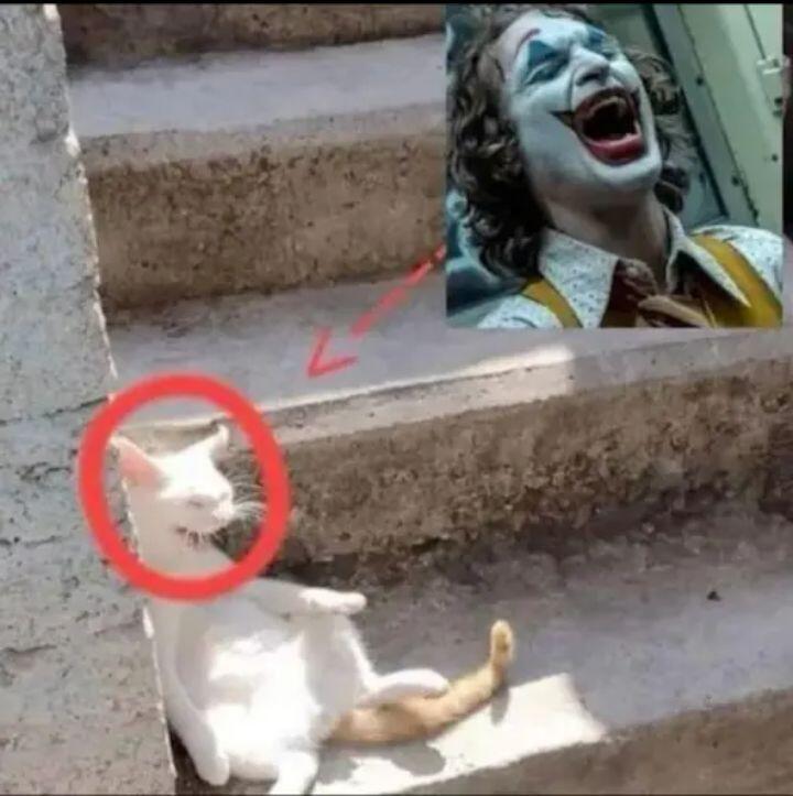 Ня пока