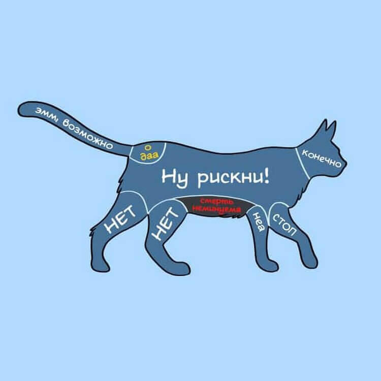 Мем от xnj z pf xvj