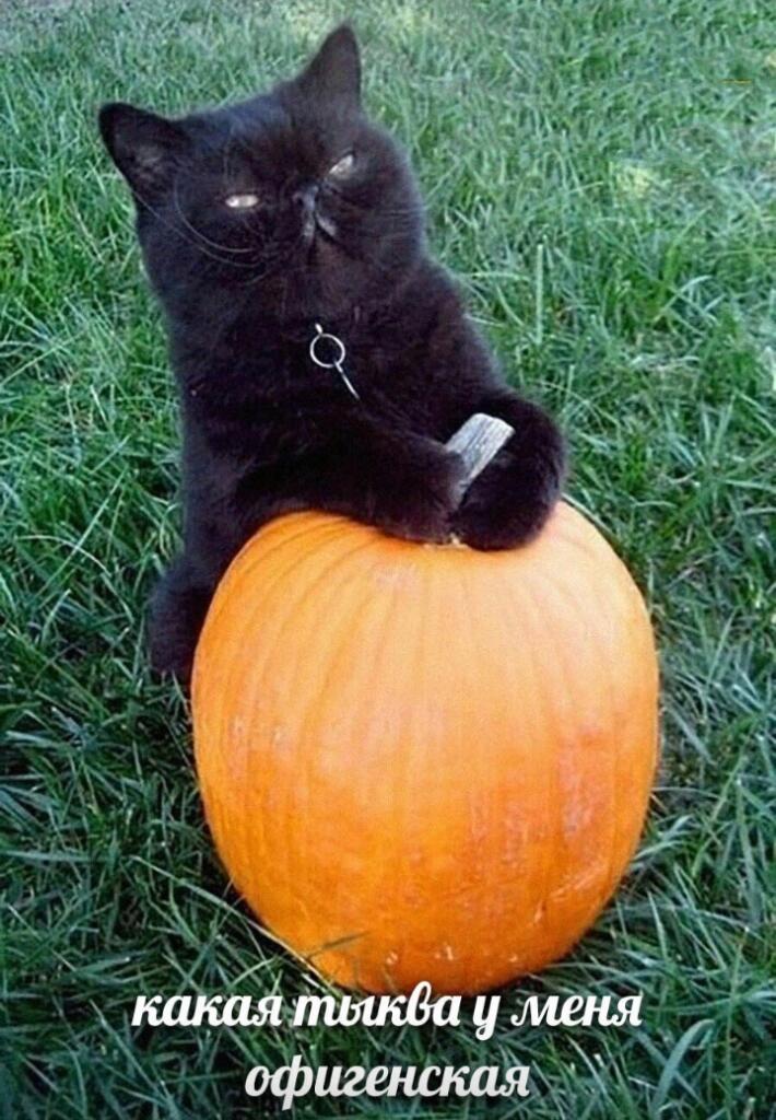 Мем от Макар Доля🔧😾