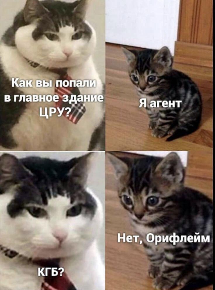 Чего