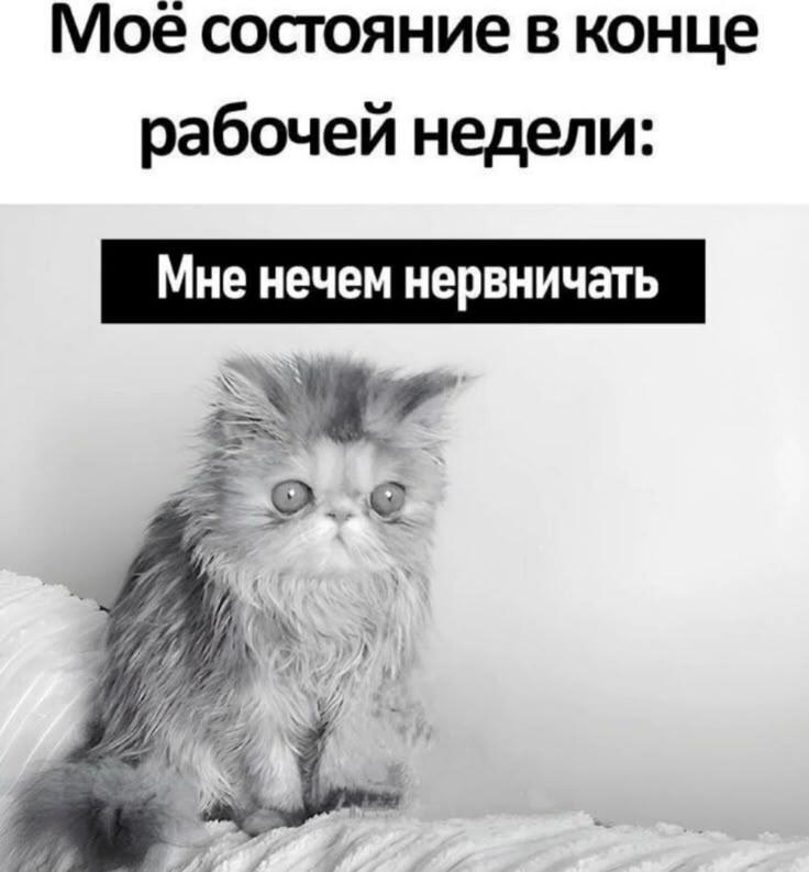 Мем от ОСТОРОЖНО ХРУПКОЕ