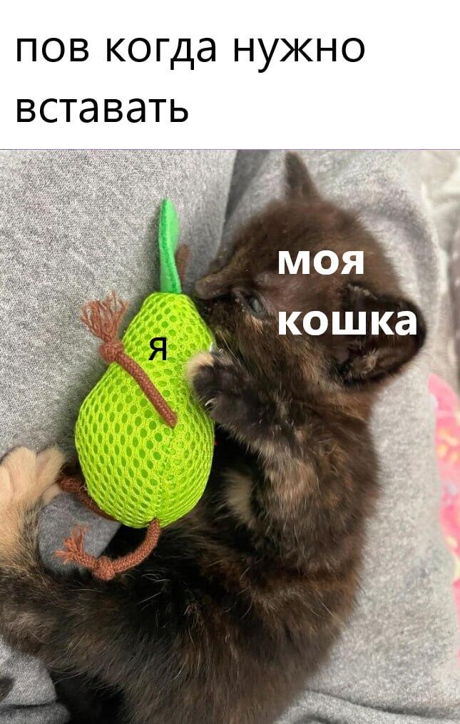 Мем от саня4оус