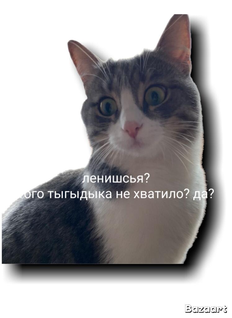 Я:не кормлю кошку 1 минуту
Кошка:
