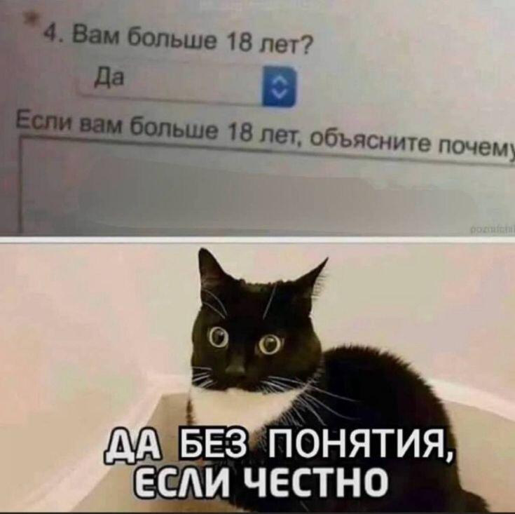 Почему...