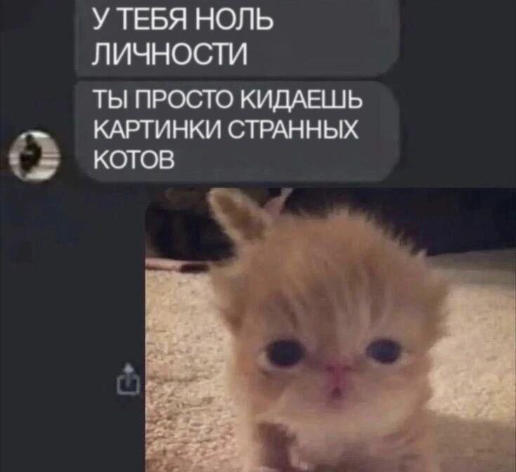 Я вернулса