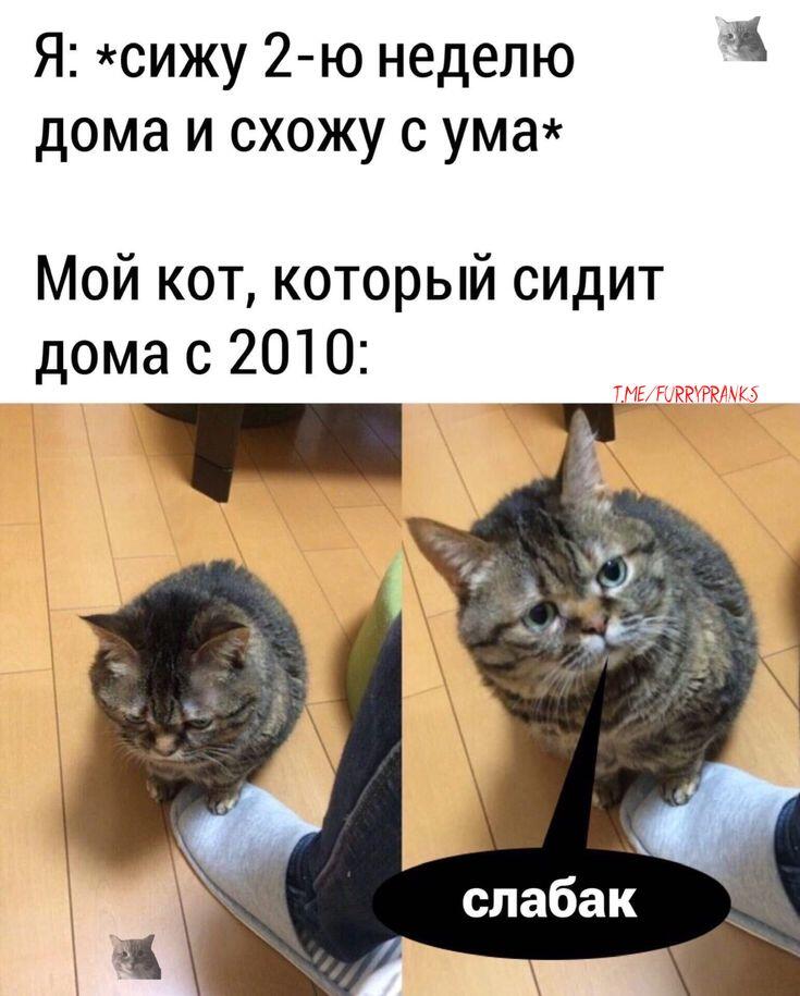 Мем от Михей