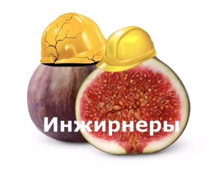 Инжир