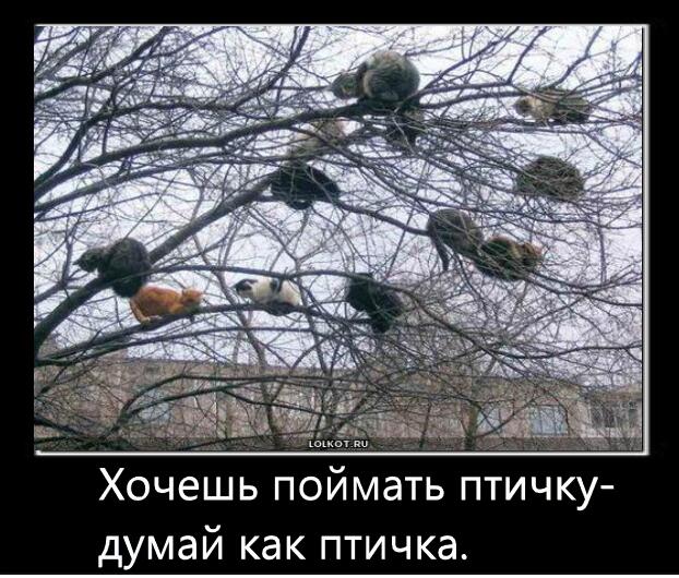 Мем от Джус