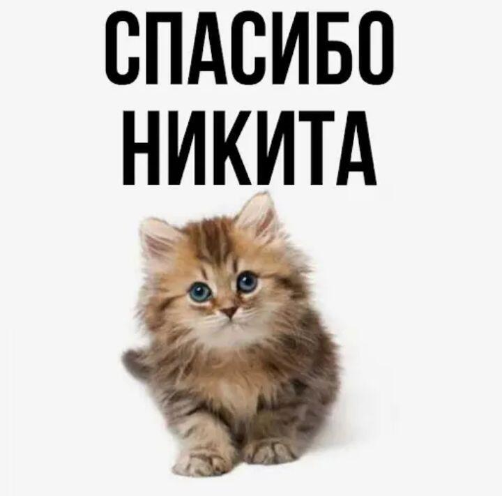 Чё то нету у меня желания посты выкладывать, вот не пропускают безобид...