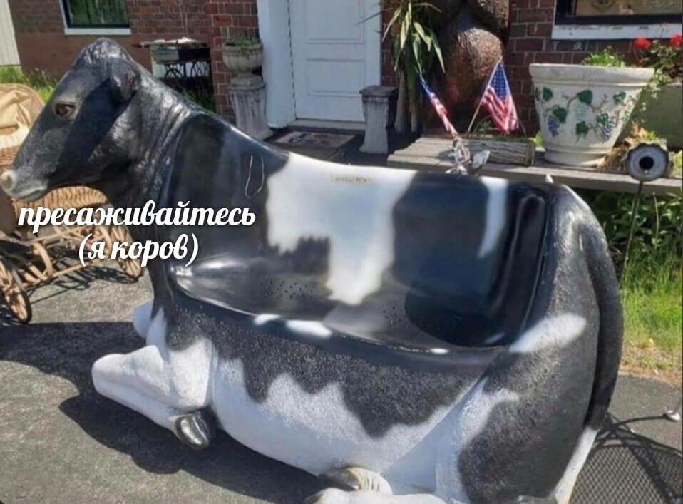 Мем от КотоУт