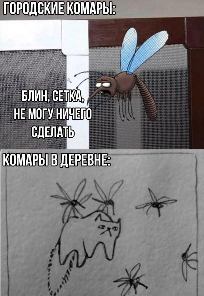 Мем от Батя
