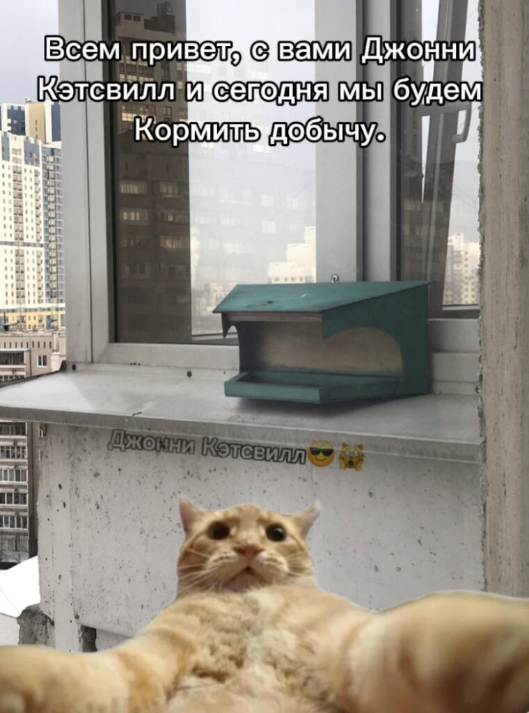 Джонни Кэтсвилл
