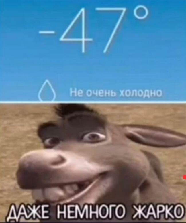 Мем от Vasa_v0dila_lubit_pivo