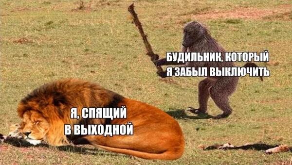 Мем от Мемнич3000