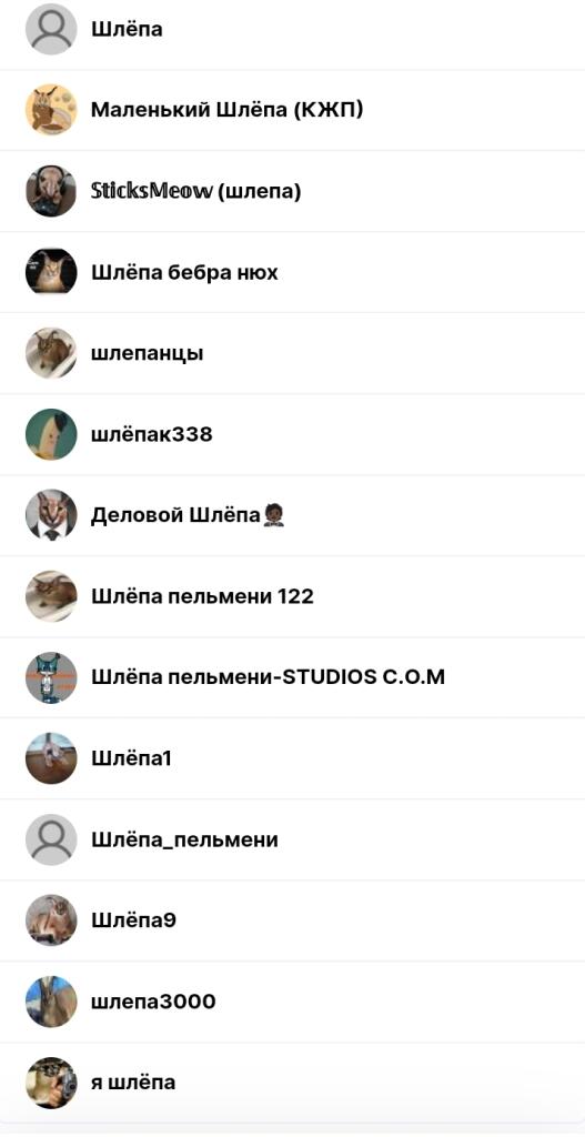 Шлепы