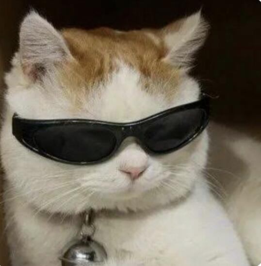 Когда задонатил в игру