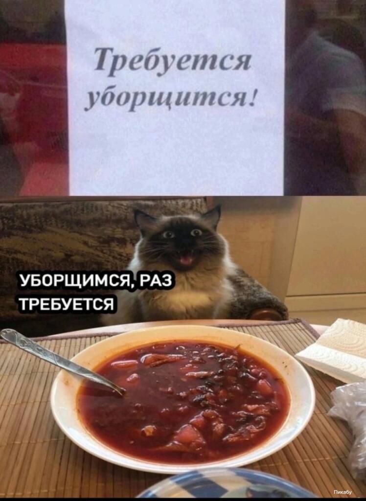 С днём борша, товарищи!