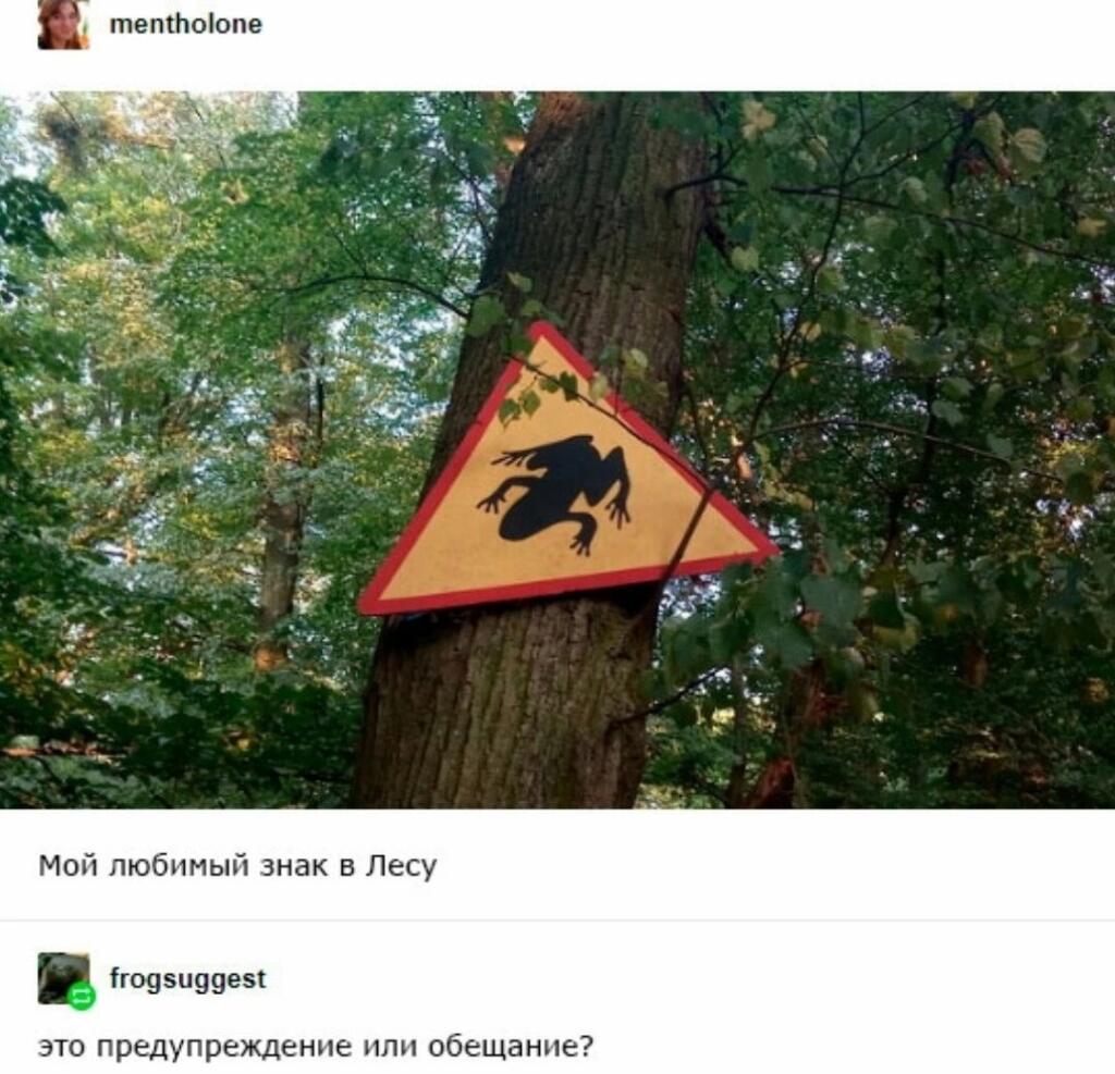 надеемся