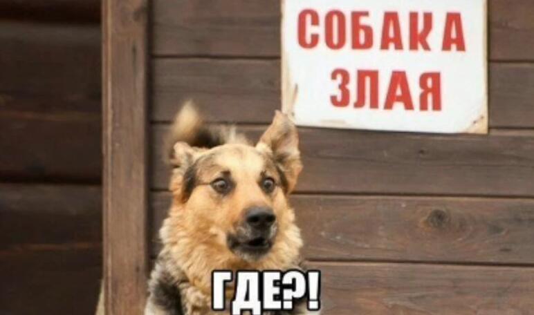 Мем от мама я в видео!