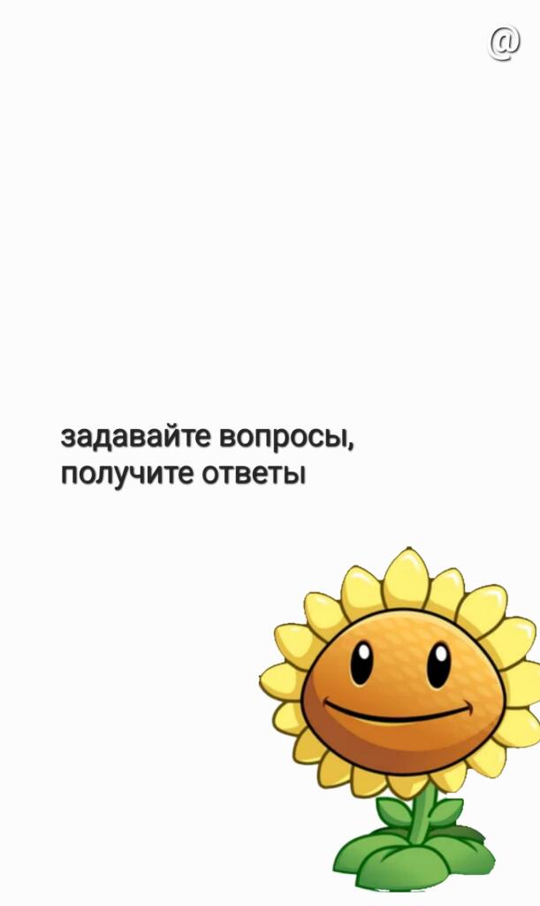 Рубрика "вопрос-ответ с подсолнухом"