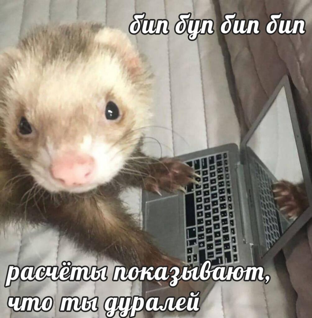 Бип буп бип бип...
