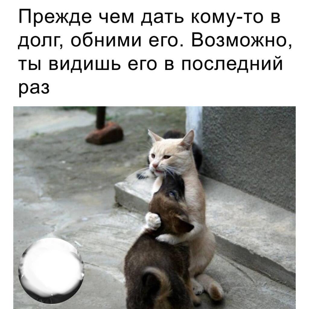 Мем без подписи