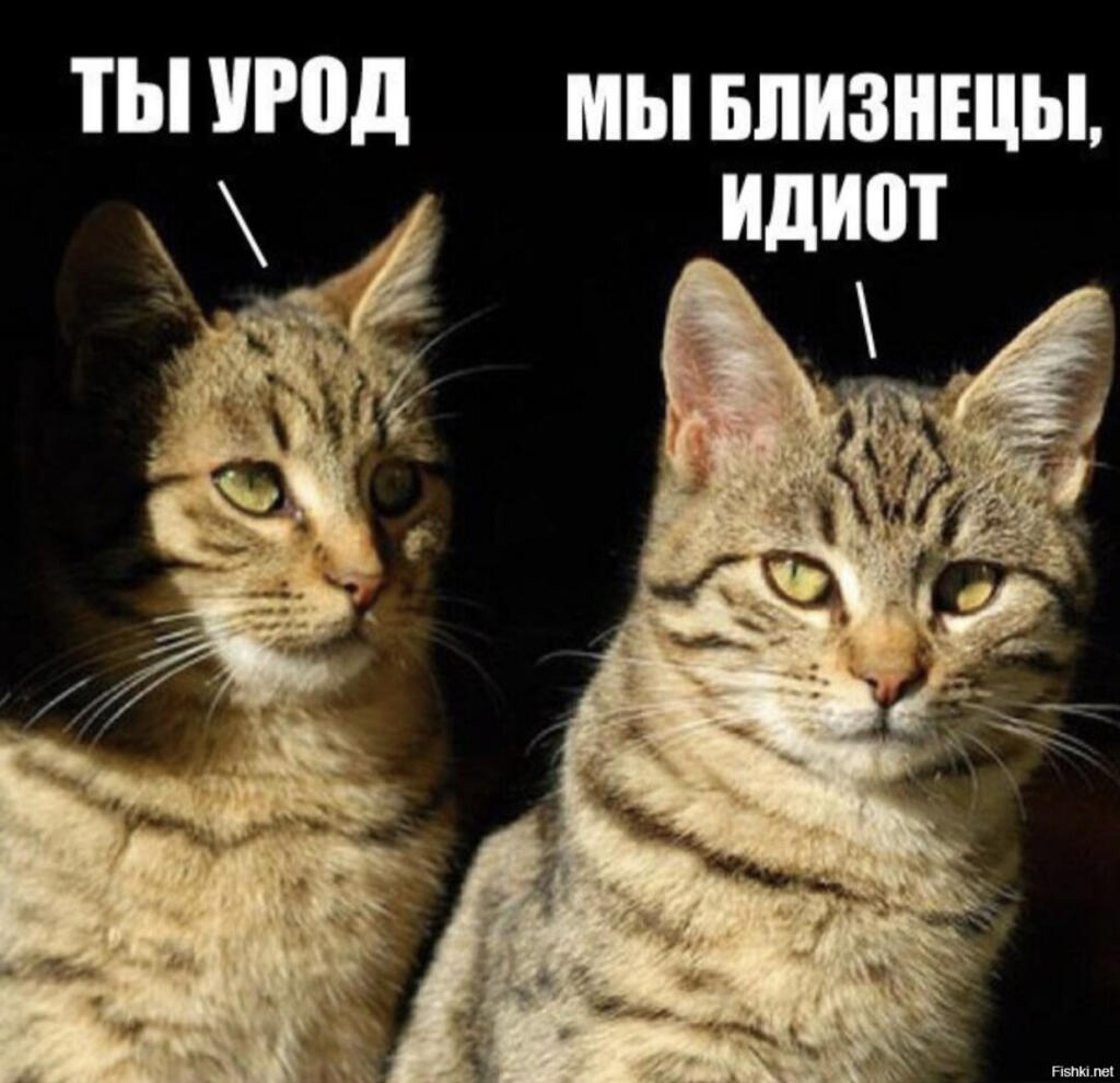 Димас пж не бей, мне актив нужен