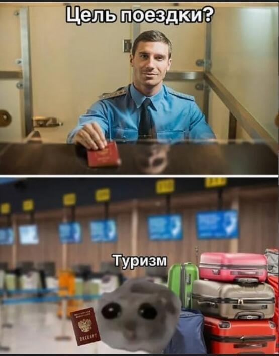 Ето последний мем в етом году от меня!